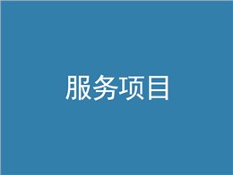 服务项目