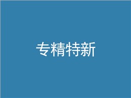 专精特新